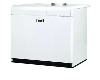 фото Котел Ferroli Pegasus F3 N 221 2S