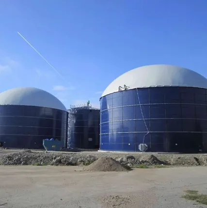 Фото №0 Биогазовый комплекс БГР