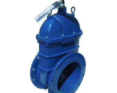 фото Задвижка чугунная с обрезиненным клином ду. 250