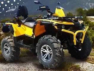 Фото №0 Квадроцикл STELS ATV 850G GUEPARD Trophy