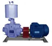 фото Водокольцевой вакуумный насос Ливгидромаш ВВН1-0,75 б/д б/р