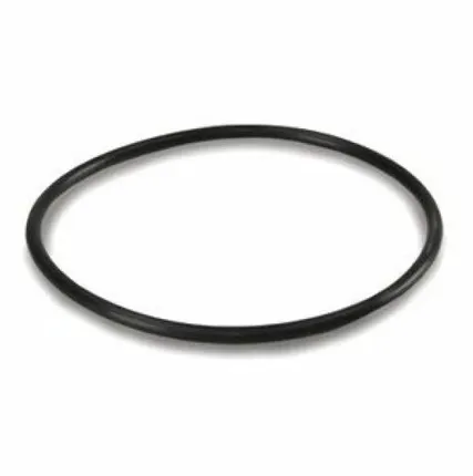 Фото №0 Кольцо уплотнительное для корпусов Гейзер 20ВВ и 10ВВ