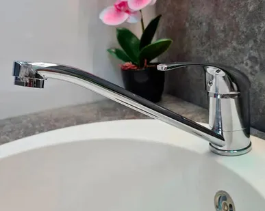 фото Смеситель для кухни INGROSSO Barbara гусак 24см картридж 40мм, гайка