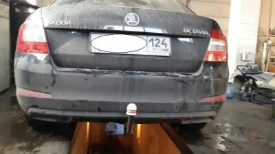Фото №0 Skoda Octavia универсал и хэтчбек (лифтбек) (2WD) с 2013 года выпуска