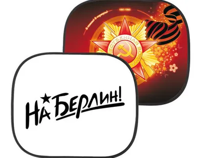фото Шторка на авто