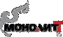 Монолит-Т