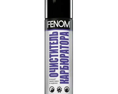 фото Очиститель карбюратора 335мл FN402 Fenom