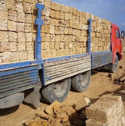 Фото №0 Камень ракушка