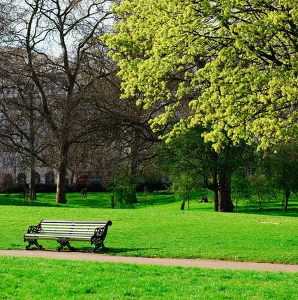 Фото №0 Посев газона