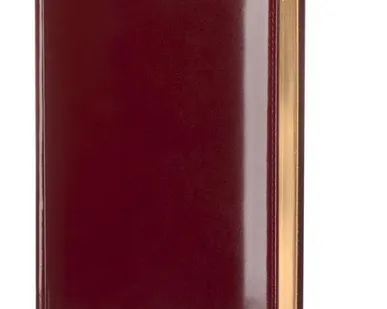 фото Ежедневник LUXE, недатированный, бордовый
