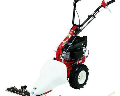 фото Сенокосилка Eurosystems P55 M220 B&amp;S 675 Series
