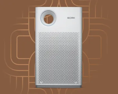 фото Воздухоочиститель BORK