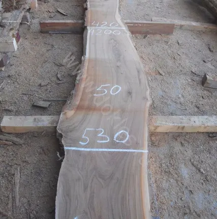 Фото №0 Слэб карагач сухой 50 мм № 3221 50х520х4200