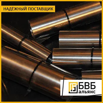 Фото №0 Полоса молибдено-медная МДЗОВ ЯЕ0.021.105.ТУ