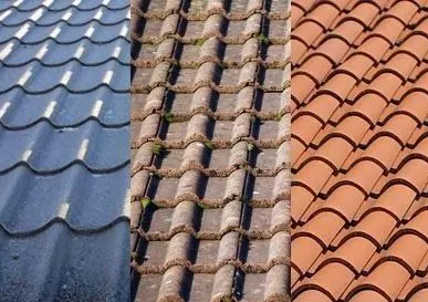 фото Сурик сухой