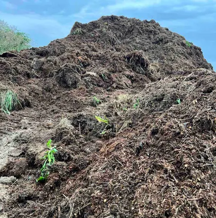 Фото №0 Удобрения