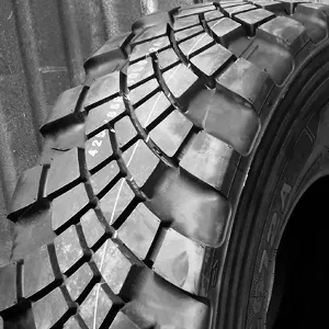 фото А/шина 425/85R21 Advance GL072A, 20PR TT