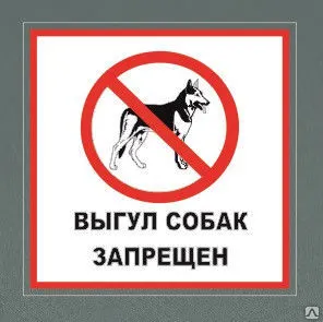 фото Табличка &quot;Выгул собак&quot;
