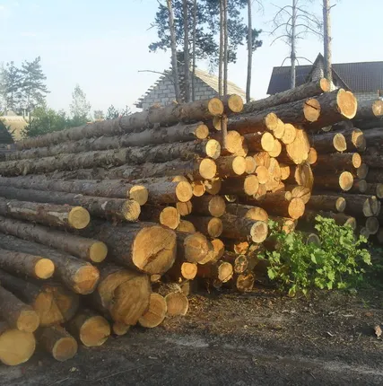 Фото №0 Лес кругляк