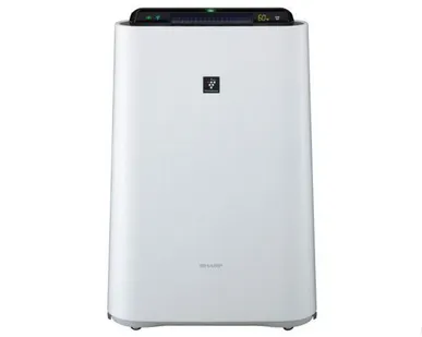 фото Климатический комплекс Sharp KC-D41RW белый SHARP