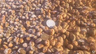 Фото №0 Керамзит фракции 5-20