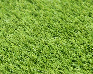 фото Искусственная трава, Soft Grass (erba), ворс 20 мм. Бельгия
