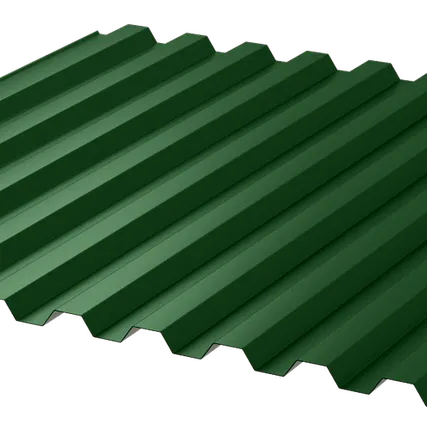 Фото №0 Профлист С21