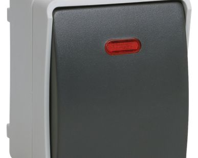 фото Выключатель 1кл. открытой установки со свет. инд. ВС20-1-1-ФСр серии IP 54