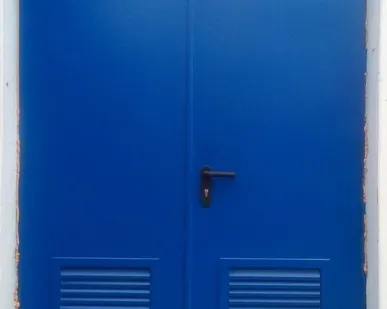 фото Металлическая дверь двупольная