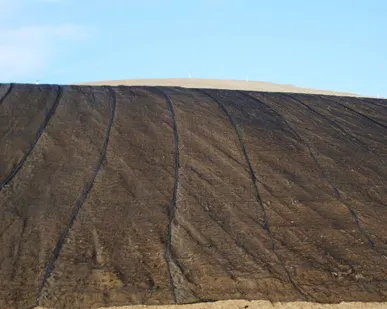 фото Геосетка одноосная «СТРЭН-О»