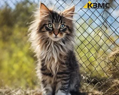 фото Сетка рабица Ø 1,6х(30х30) размер рулона 1,5х10 метров