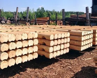 фото Бревно оцилиндрованное 220 мм с чашками