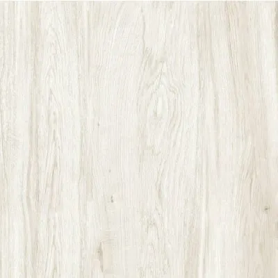 Фото №0 Керамогранит Lasselsberger Ceramics Шервуд белый 6046-0407 45*45 см