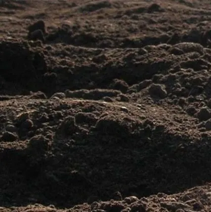 Фото №0 Растительный грунт Коломна