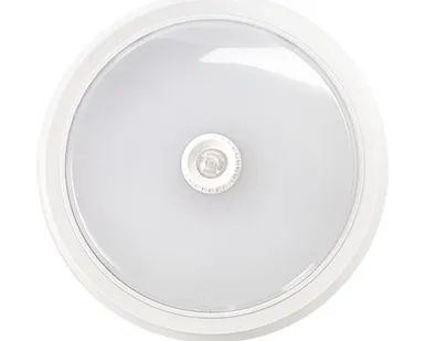 фото Светильник светодиодный СПБ-2Д 20Вт 230В 4000К 1400лм 300мм с датчиком движения белый LLT