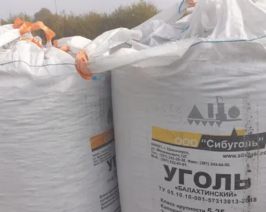 фото уголь бурый орех, семечка
