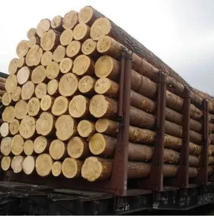 Фото №0 Лес кругляк