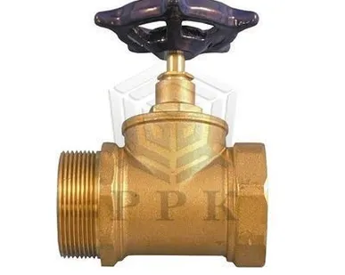 фото ДУ-50 1Б1Р вентиль