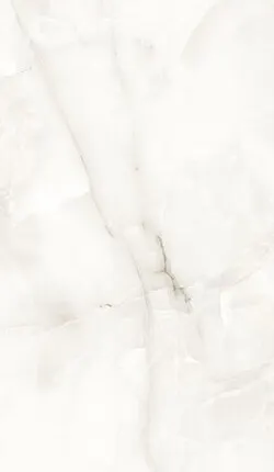 Фото №0 32805 Керамогранит 60х120 Evolution ceramic Florida Onyx Silver