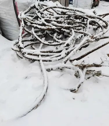 Фото №0 Выкуп кабеля