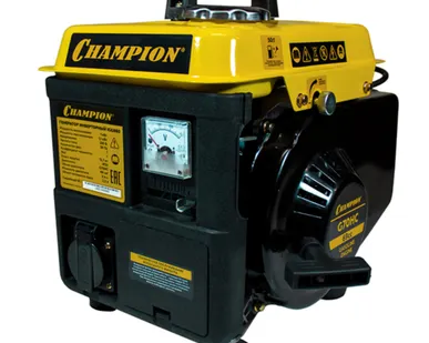 фото Инверторный генератор Champion IGG980