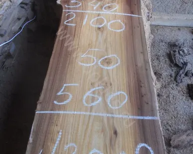 фото Слэб карагач сухой 50 мм № 3009 50х570х2100
