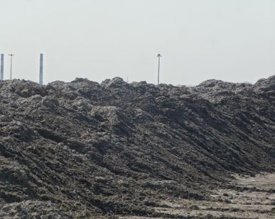 фото Грунт плодородный, торфогрунт, грунт сеянный