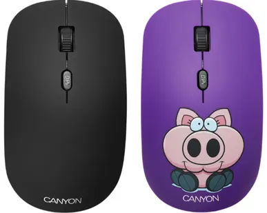 фото Мышь Canyon CND-CMSW401PB