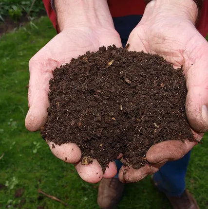 Фото №0 Почвогрунт с доставкой в Песочное