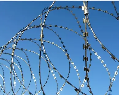 фото Колючее ограждение ЕГОЗА СББ 860 L=6-7 м