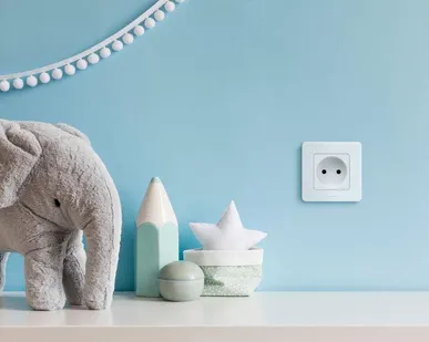 фото Механизм розетки 1-м СП Inspiria 16А IP20 250В 2P бел. Leg 673710