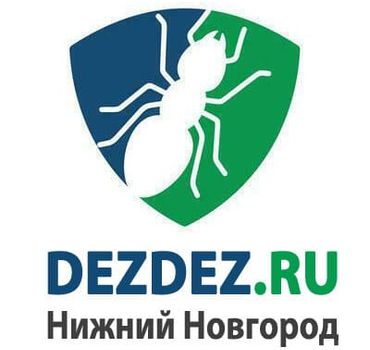 "ДезДез" Нижний Новгород