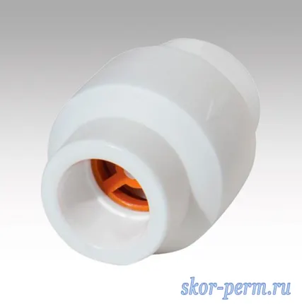 Фото №1 Клапан обратный 20 PPRC