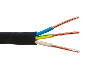 фото Кабель ВВГПнг 3*1,5 1 п.м.